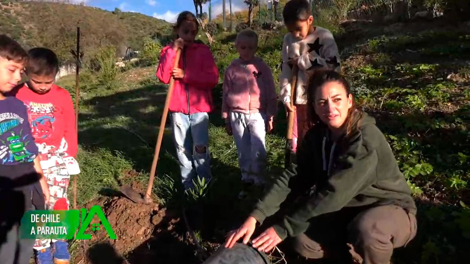 En Parauta lleva a cabo un proyecto de conservación social y medioambiental del pinsapar más grande de Europa