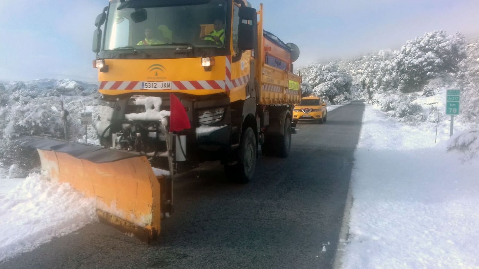 nevadas
