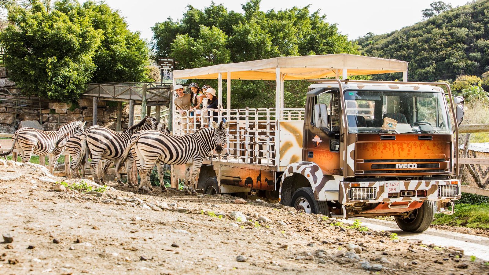 selwo safari
