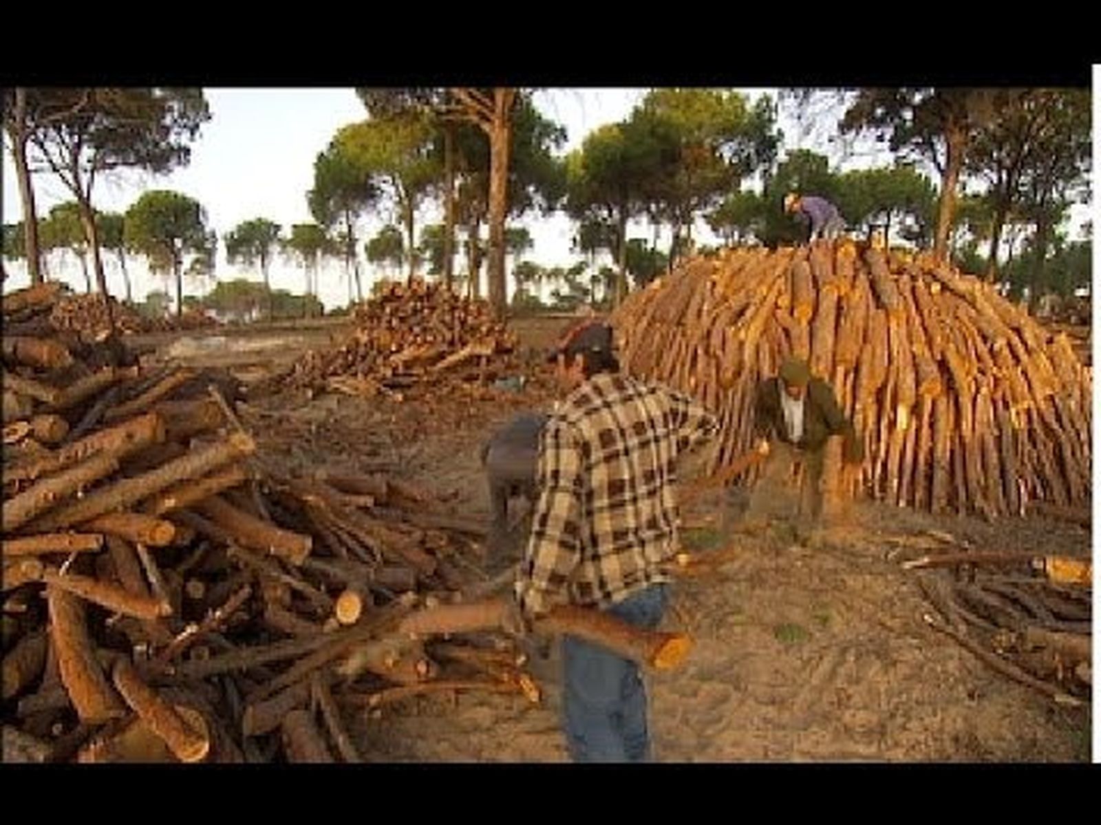 Carbonero, oficio tradicional en los bosques de Andalucía