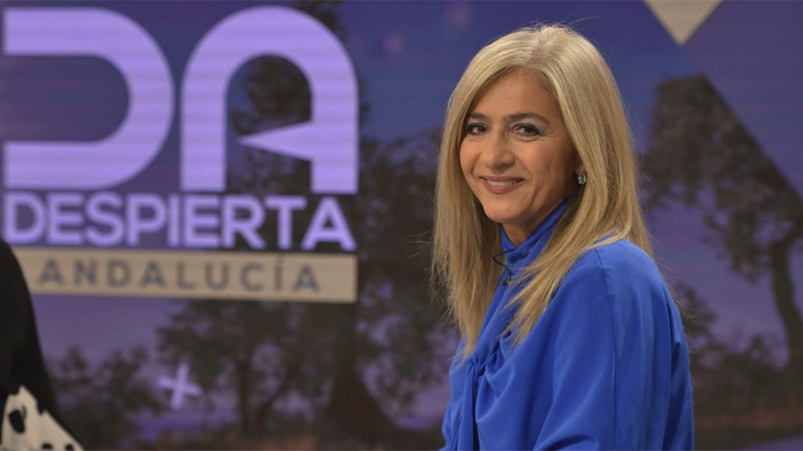 Comunicación Patricia del Pozo Consejera de Cultura Despierta Andalucía