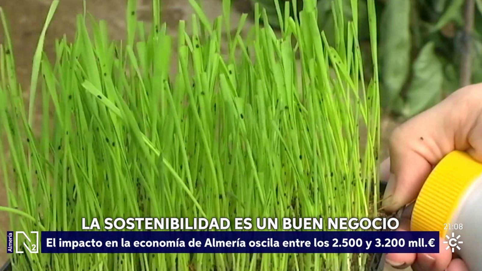 La sostenibilidad mueve uno de cada cinco euros de la economía almeriense