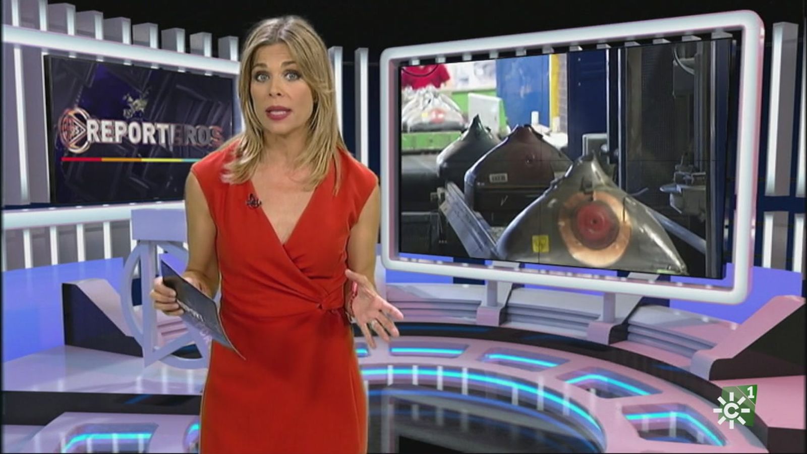 reporteros