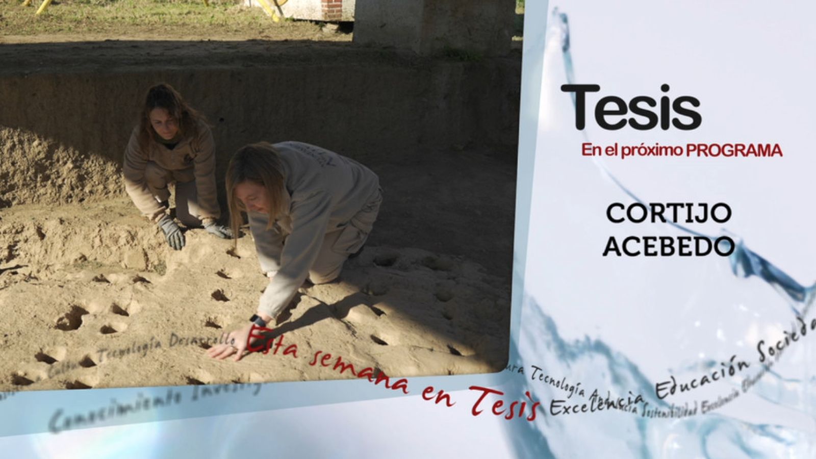 tesis 2 febr
