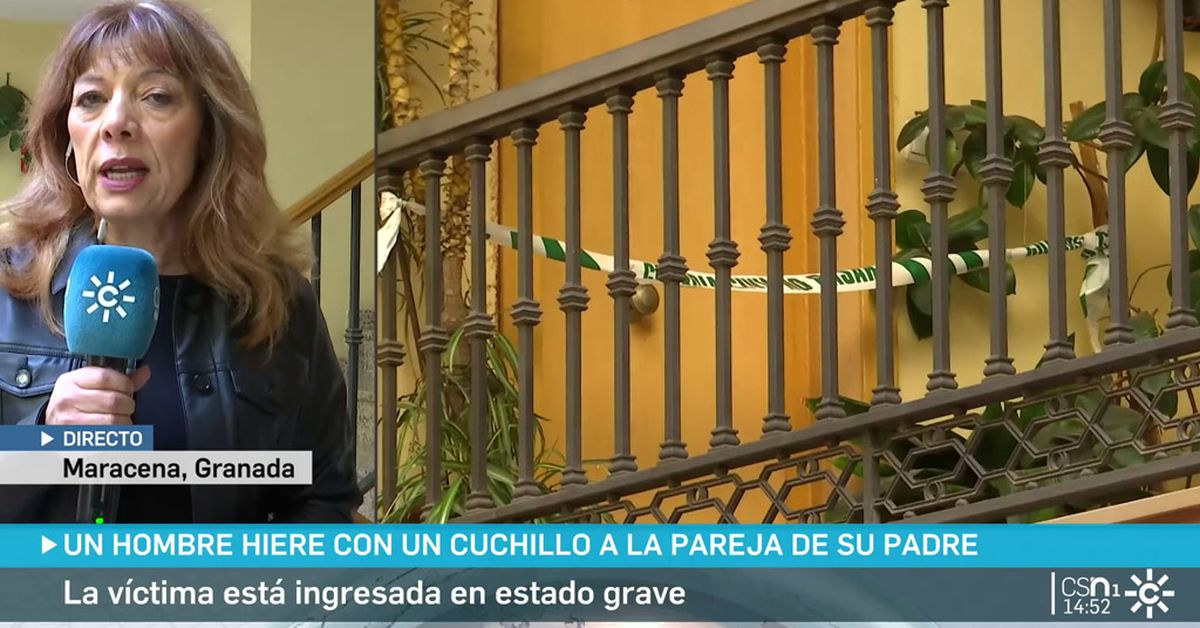 Detenido tras agredir a la pareja de su padre con una catana en Maracena
