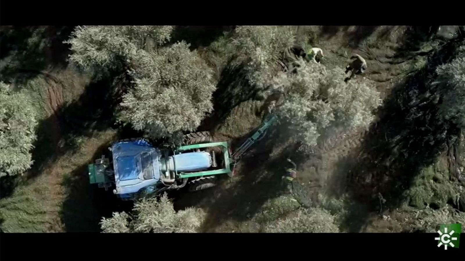 Documental ATV, Los paisajes del olivar, 19 noviembre