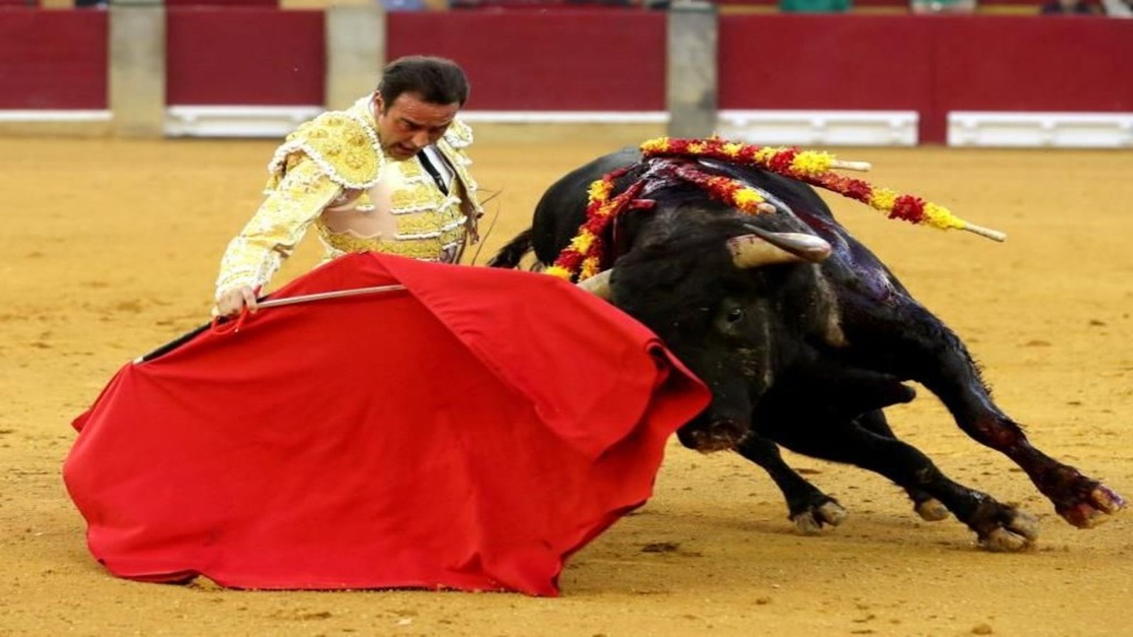 Toros, Plaza de Baza, Granada, 12 septiembre