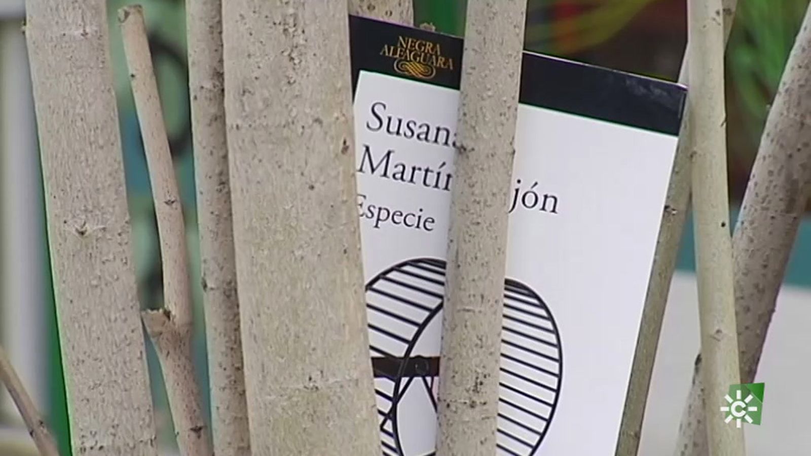 Susana Martín pone de nuevo a trabajar a la inspectora Camino Vargas