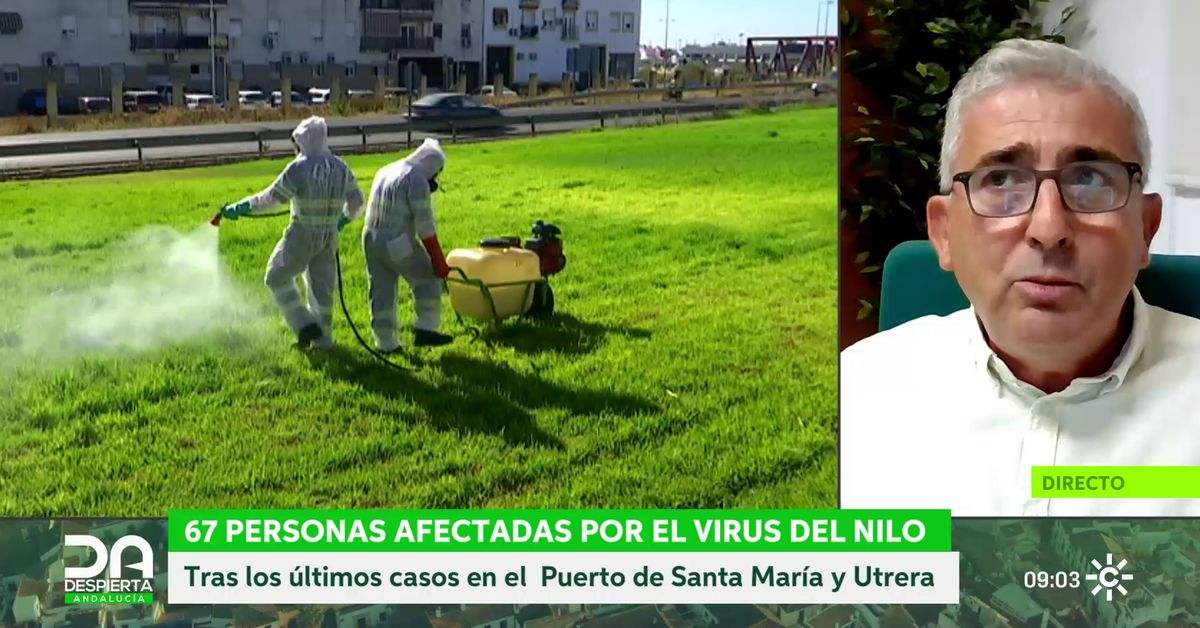 West Nile Virus in Andalusia: 3 Deaths and 67 Cases Reported