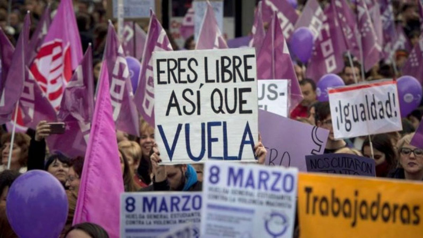 foto 8m