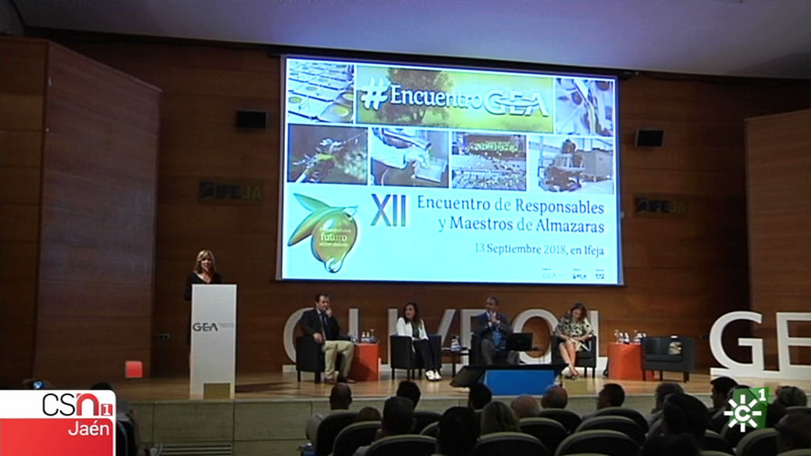 jaen almazara