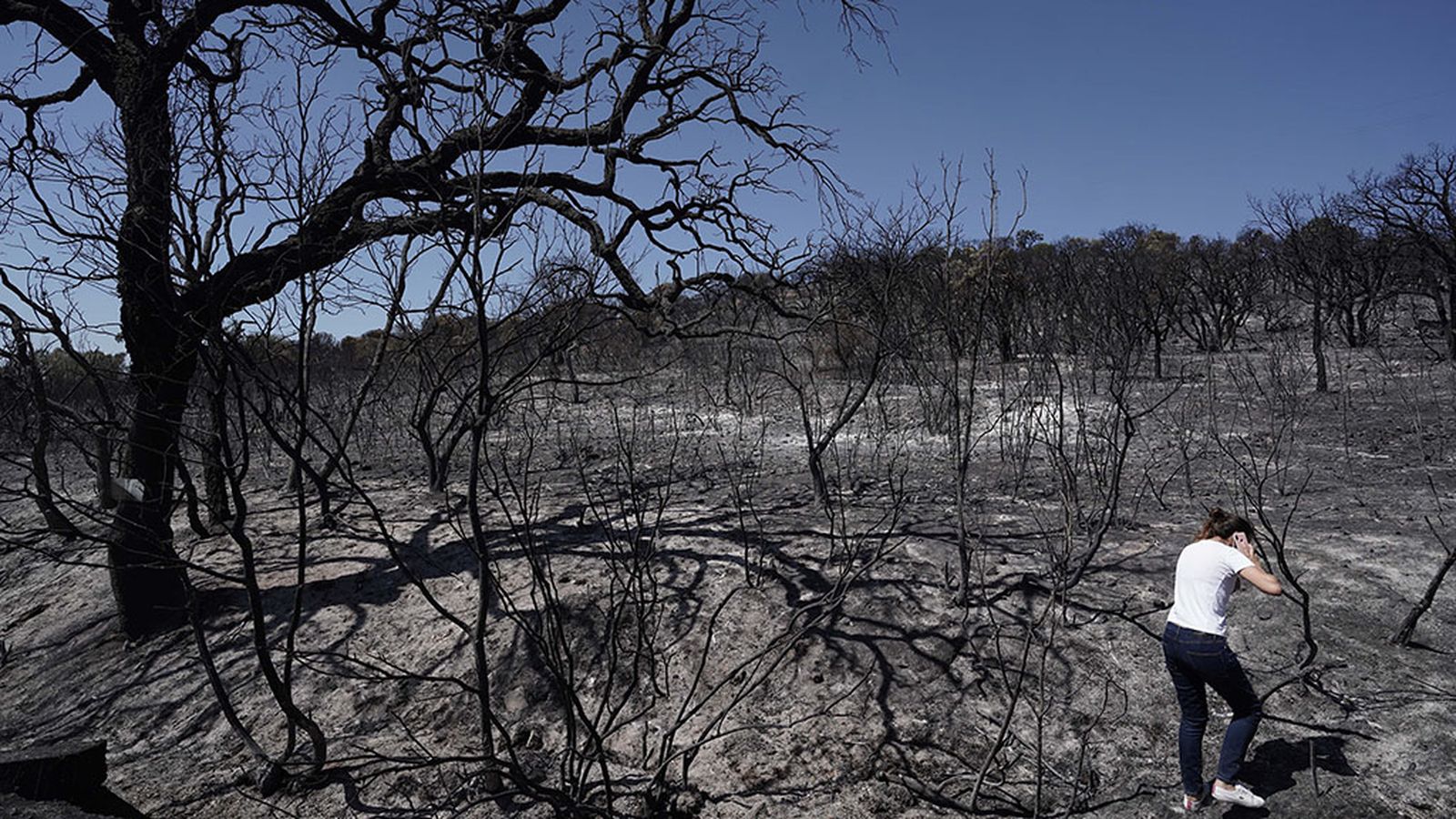Incendio de Alcaracejos