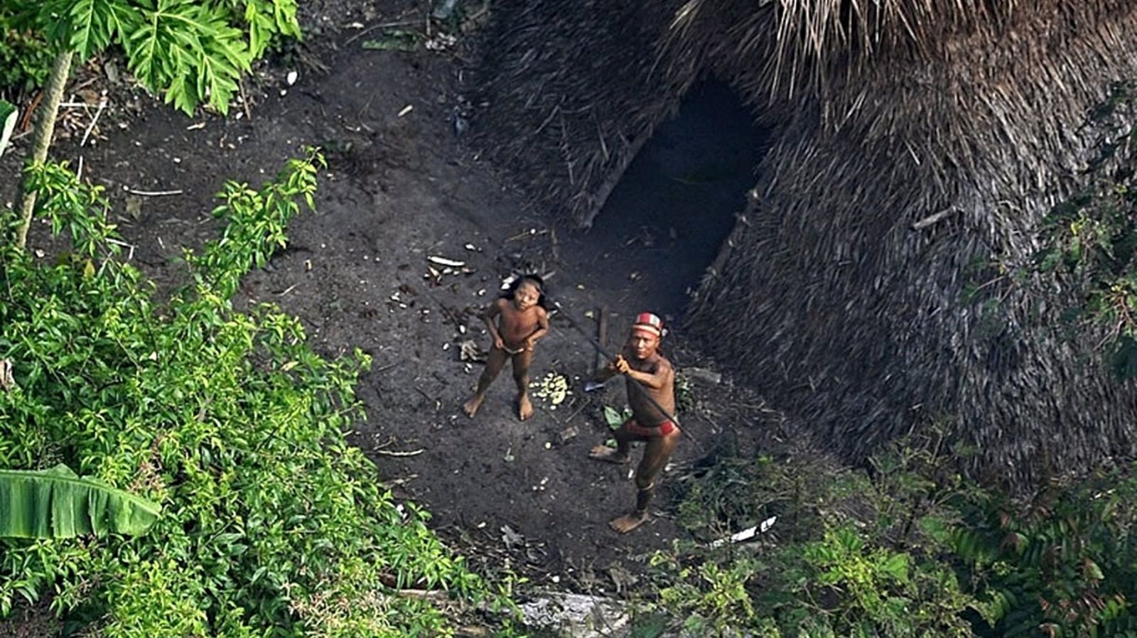Documental - Sobrevivir a la selva