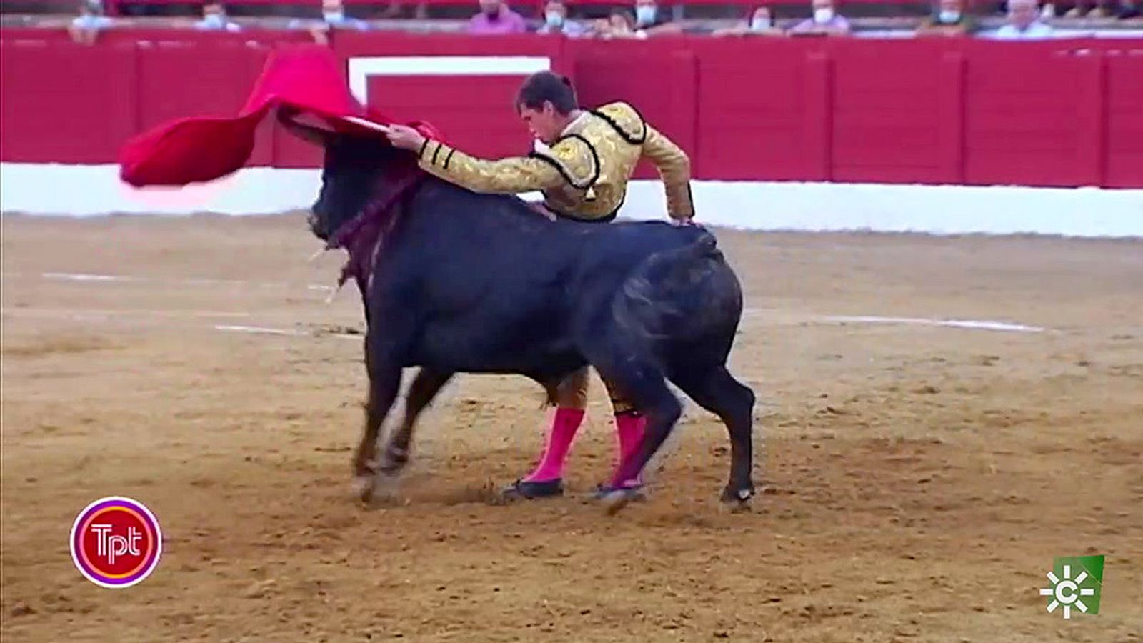 Daniel Luque sigue arrasando en la temporada cortando un rabo en Andújar