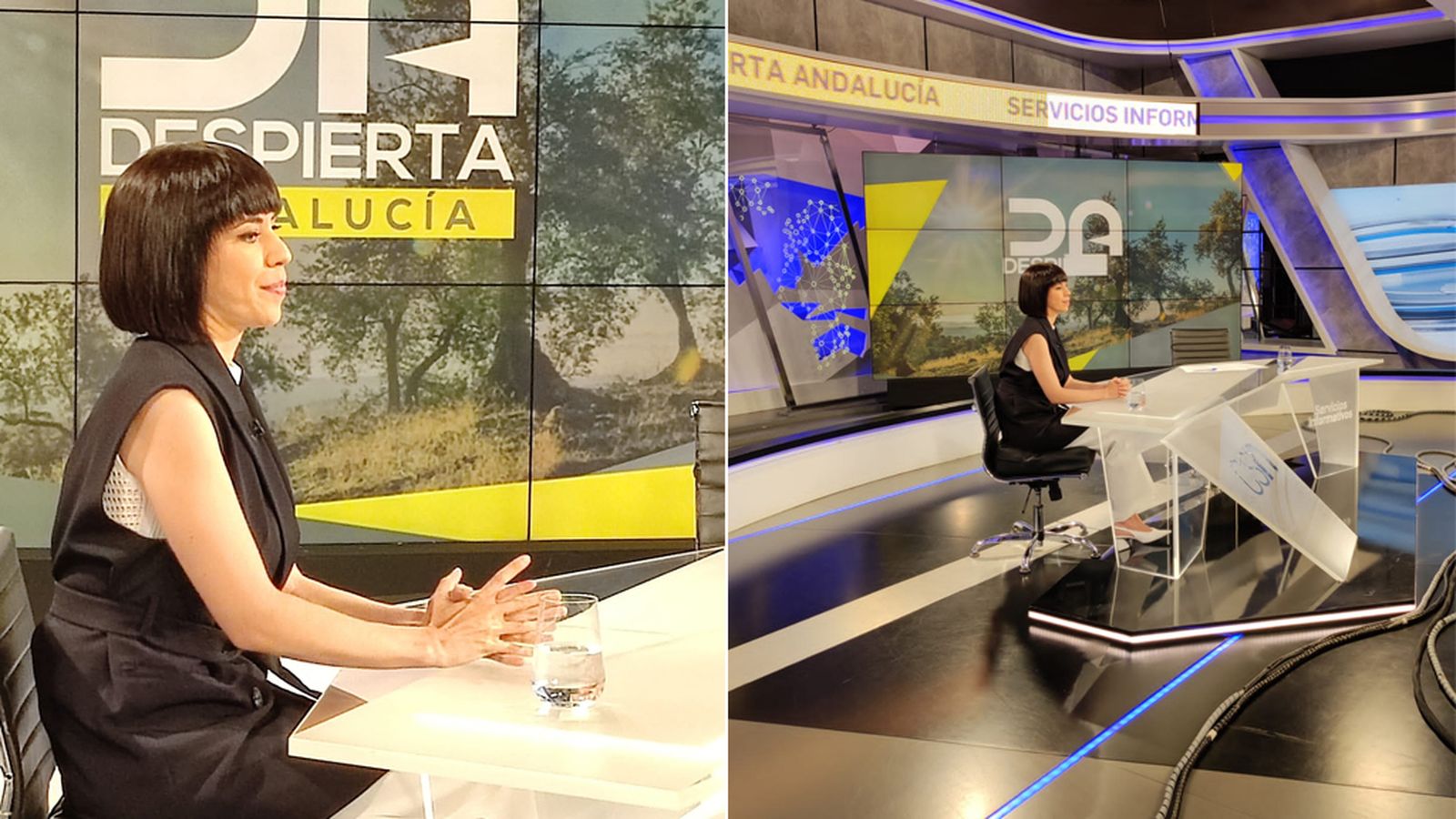 Comunicación Diana Morant