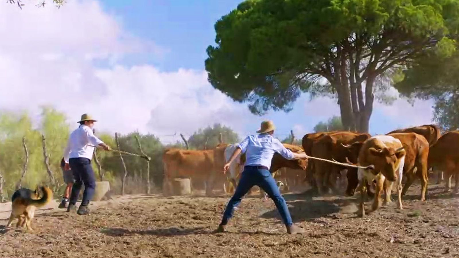 Los compadre hacen de vaqueros en su nueva aventura