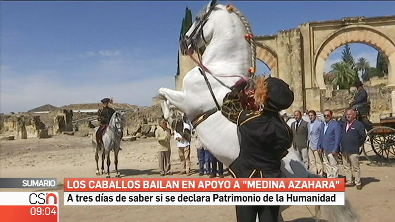 caballos en medina