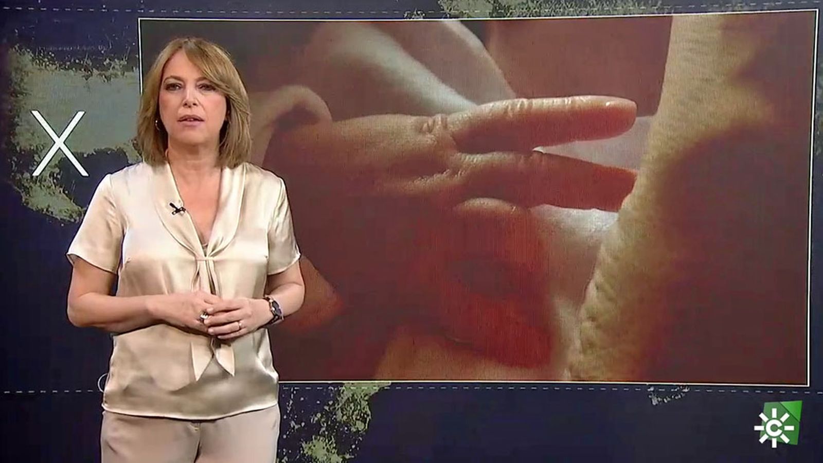 Los Reporteros sobre gestación subrogada