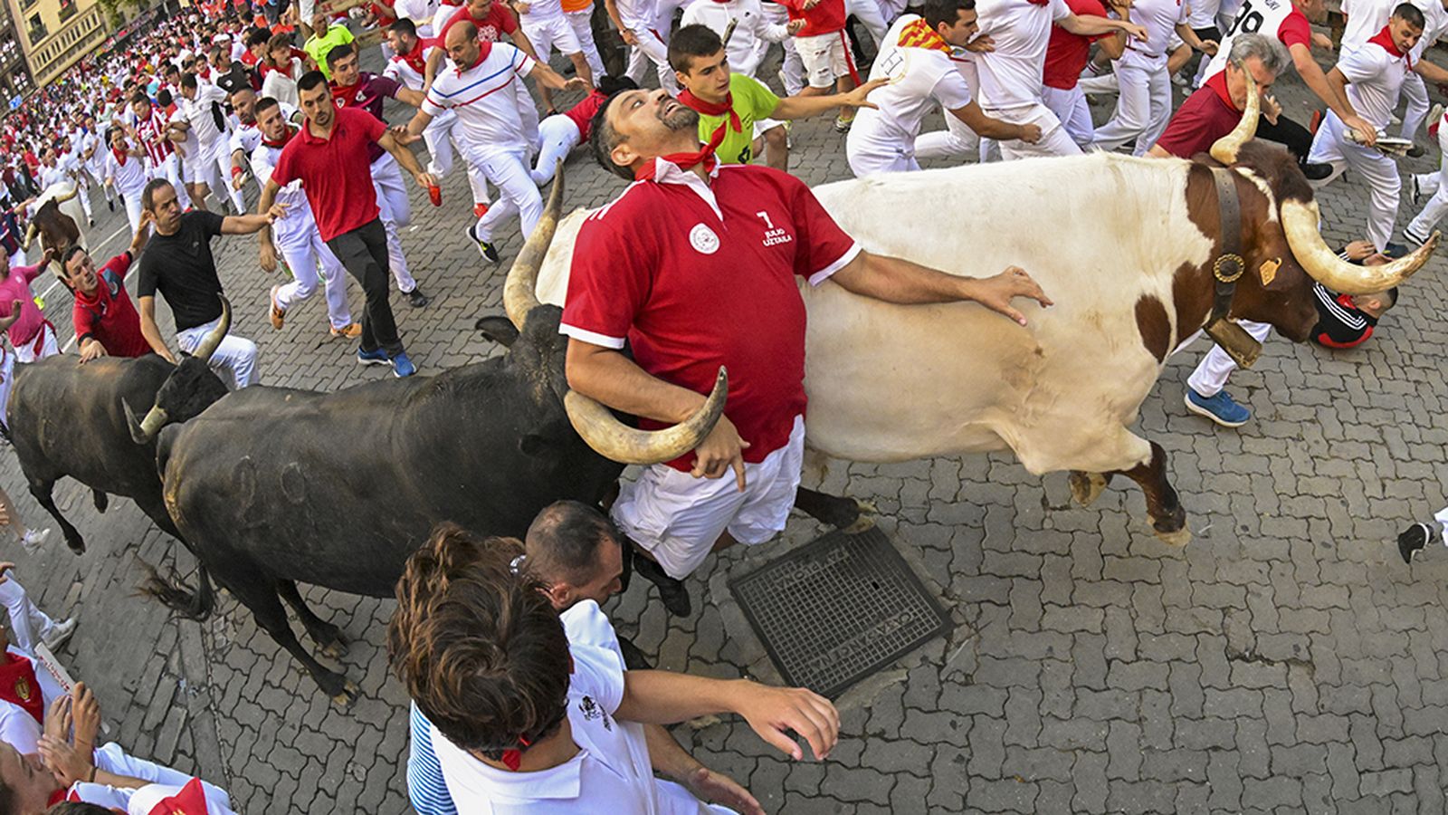 Foto Toro Miura encierro San Fermín