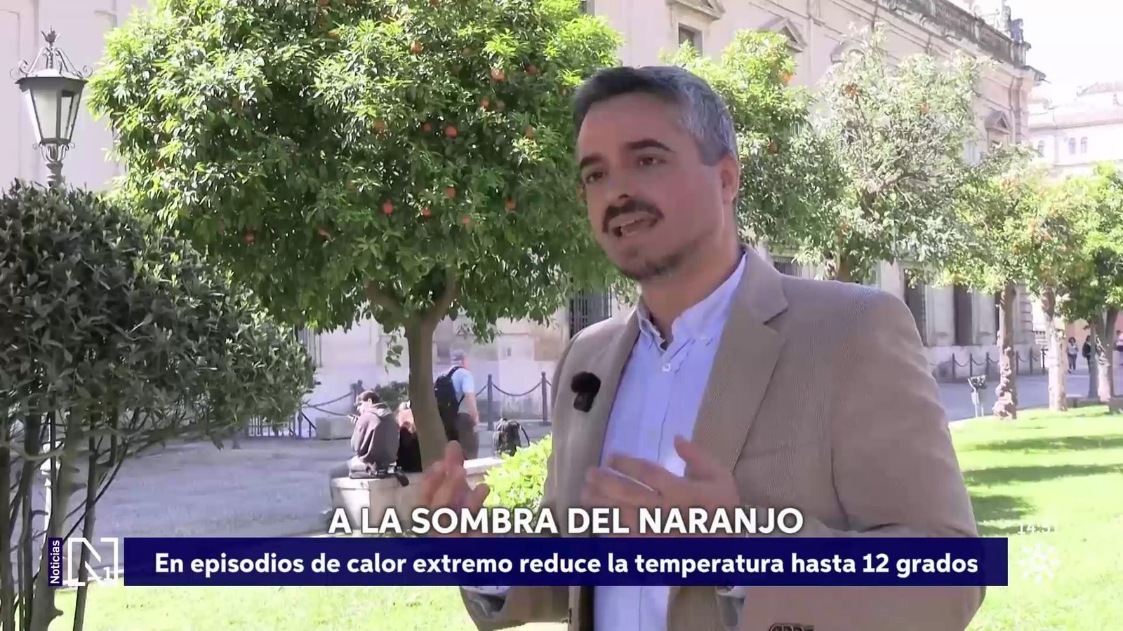 La sombra del naranjo reduce hasta 12 grados el calor del pavimento