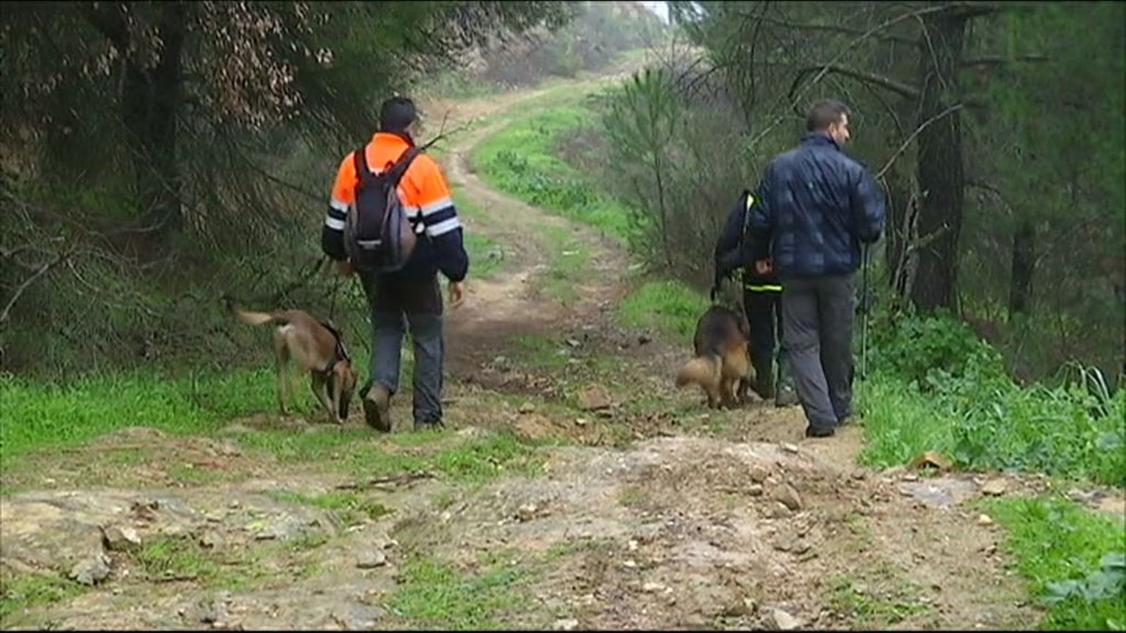 Captura perros rescatadores