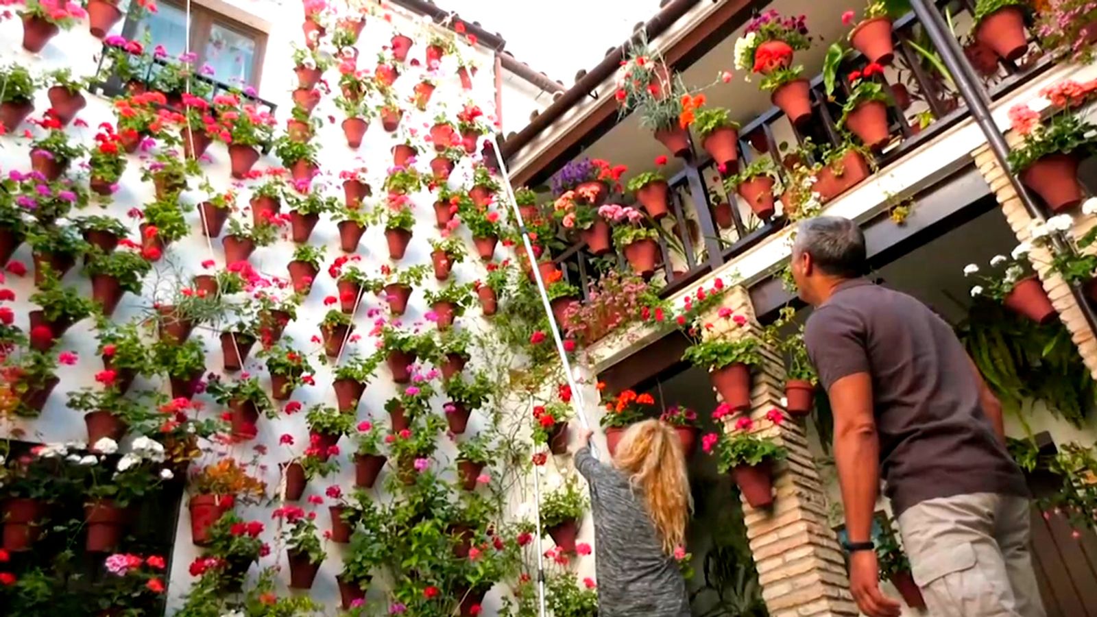 Los Patios de Córdoba, un oasis de belleza y colorido