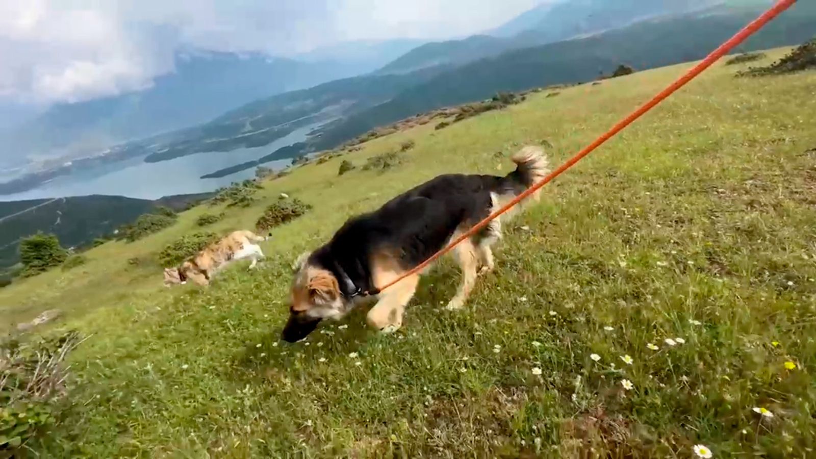 Zarpas y Fito descubren Albania