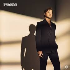 David Bisbal - Quijote