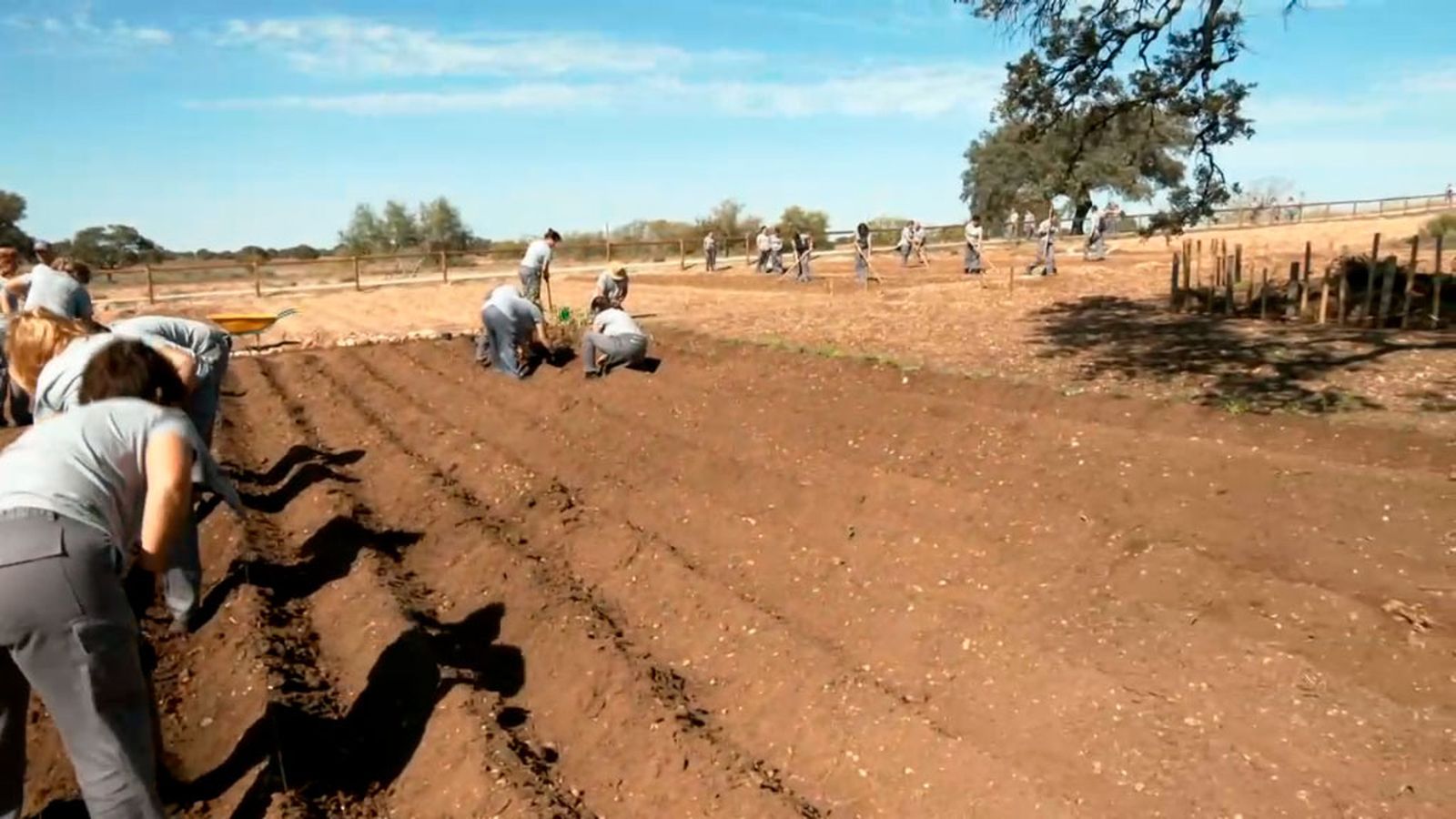 Ecología y empleo en la finca Las Turquillas
