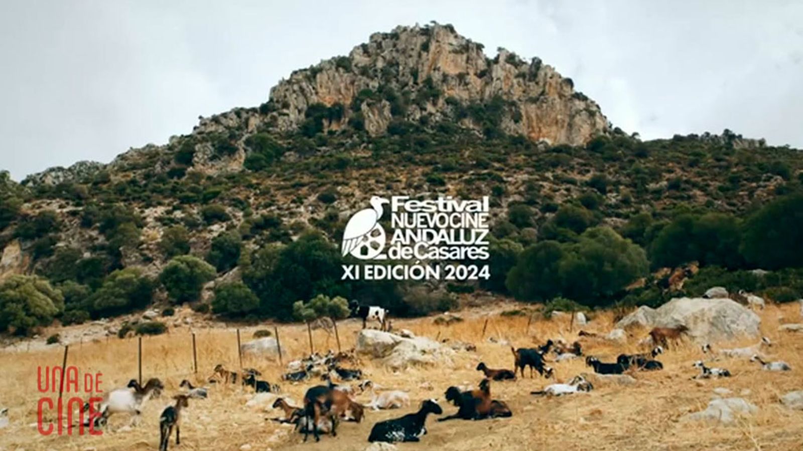 una cine festival casares 1024x576
