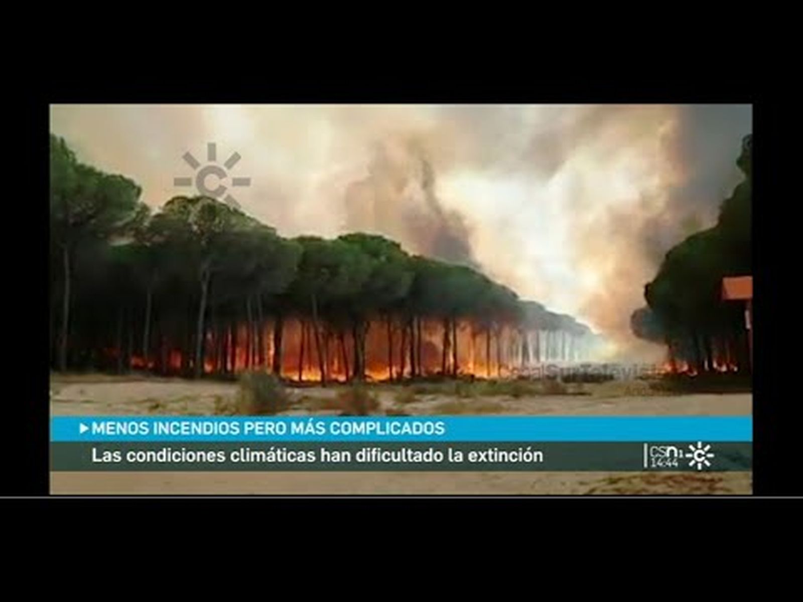 Incendios forestales en Andalucía durante el verano 2022