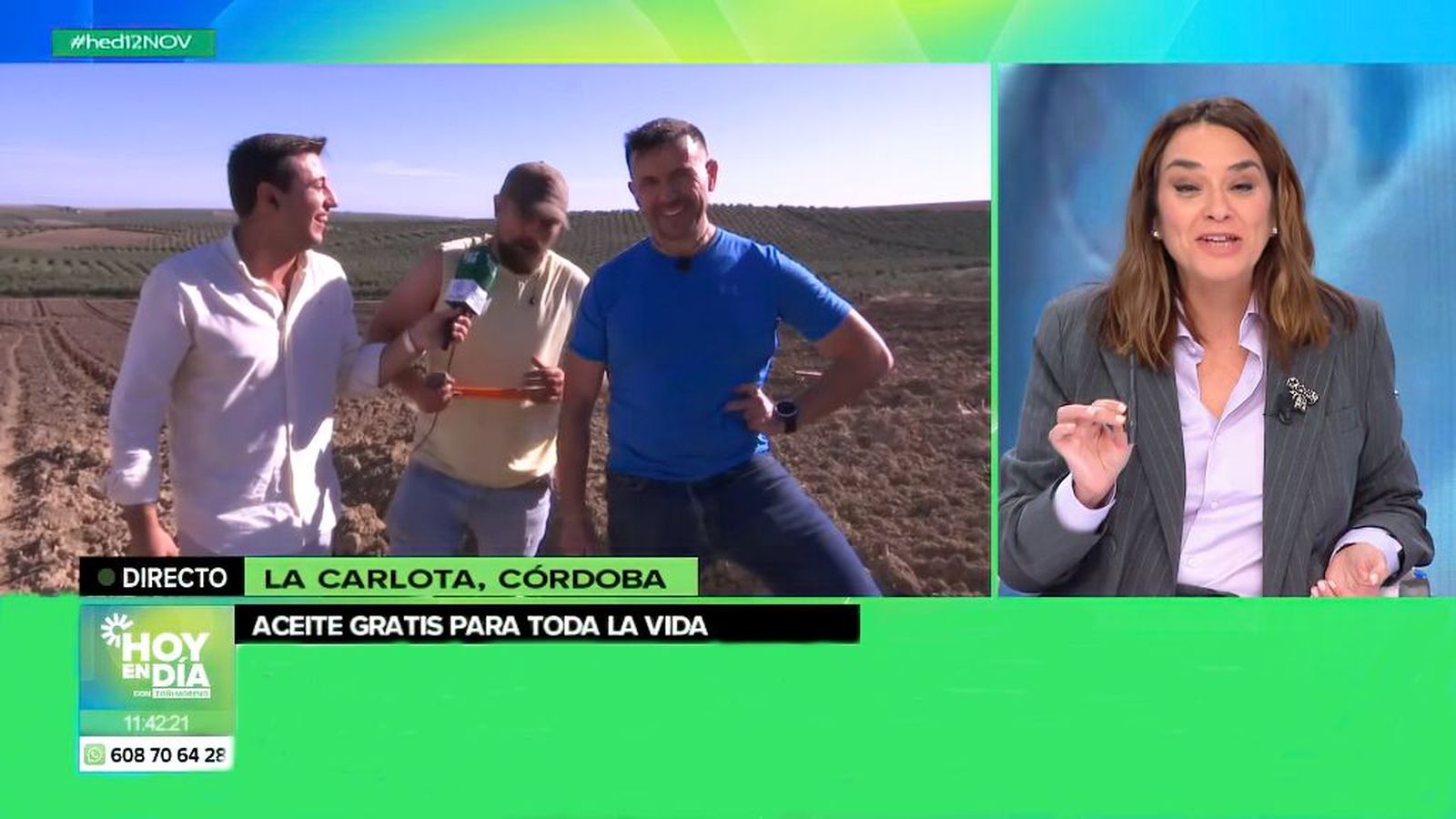 Un joven se enfrenta al reto de plantar 10 hectáreas de olivos para tener aceite de oliva de por vida