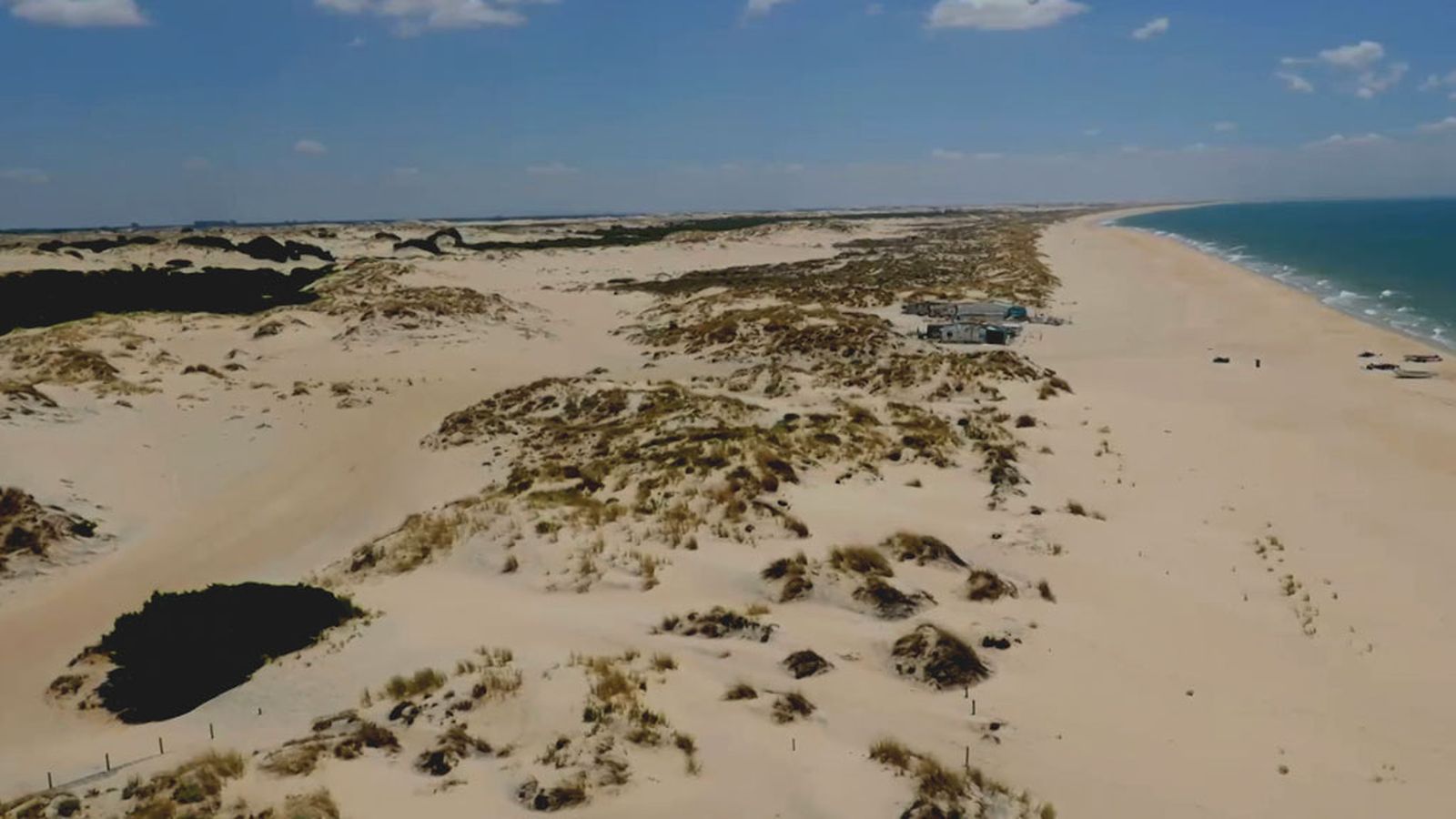 30 kilómetros de arena virgen en pleno corazón de Doñana