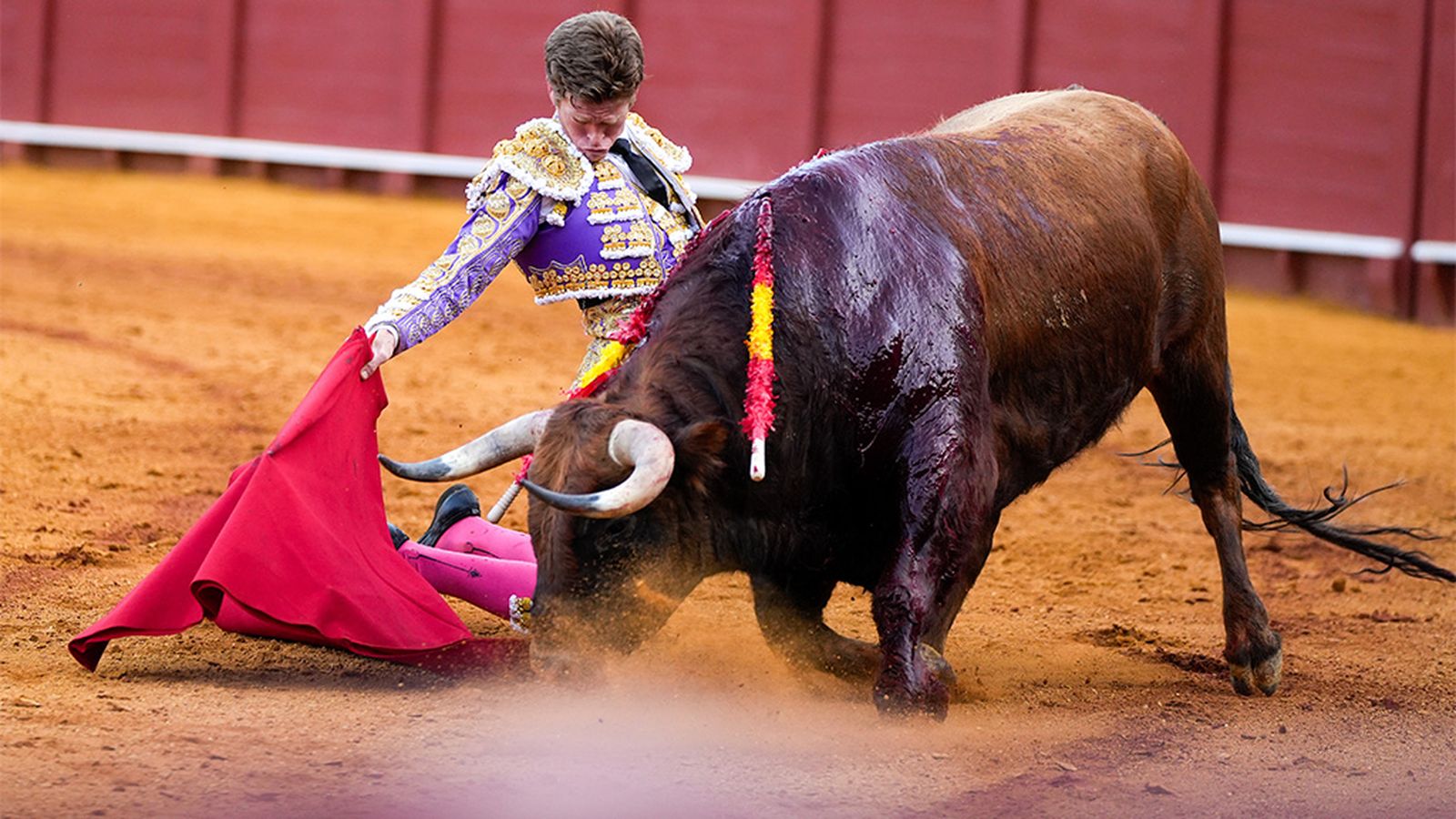 Toros desde Córdoba 22/05/26 (Promo)