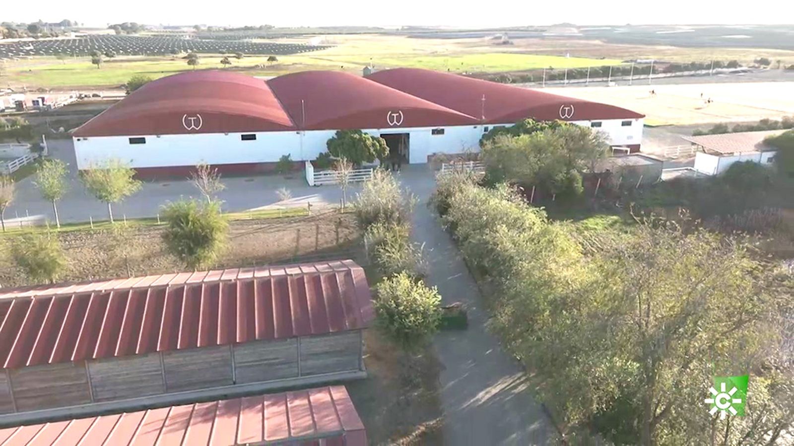 Torreluna, la mayor yeguada de cría y espectáculo del Pura Raza Española