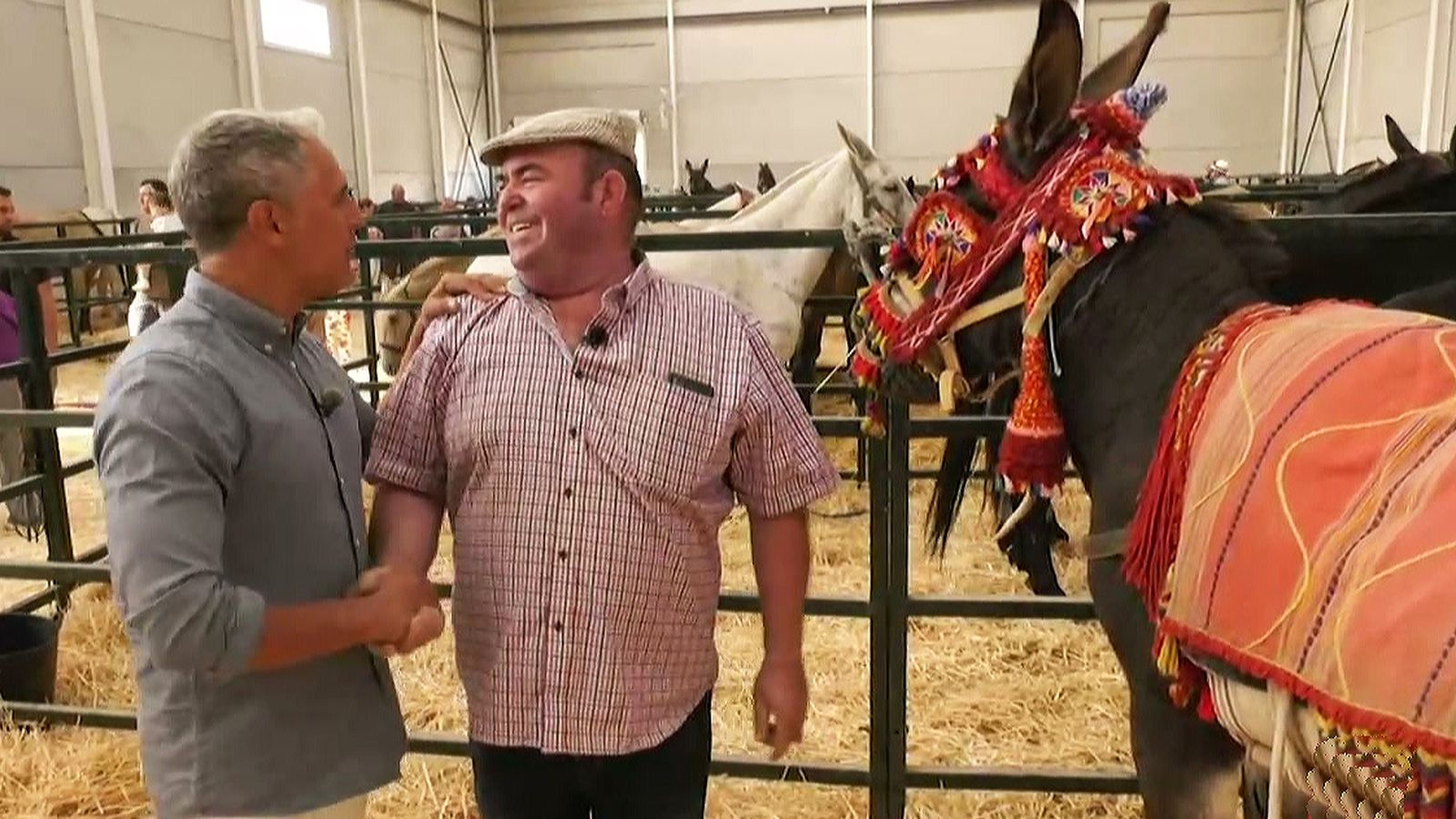 La Feria de Ganado de Padul se remonta a la época de Carlos V