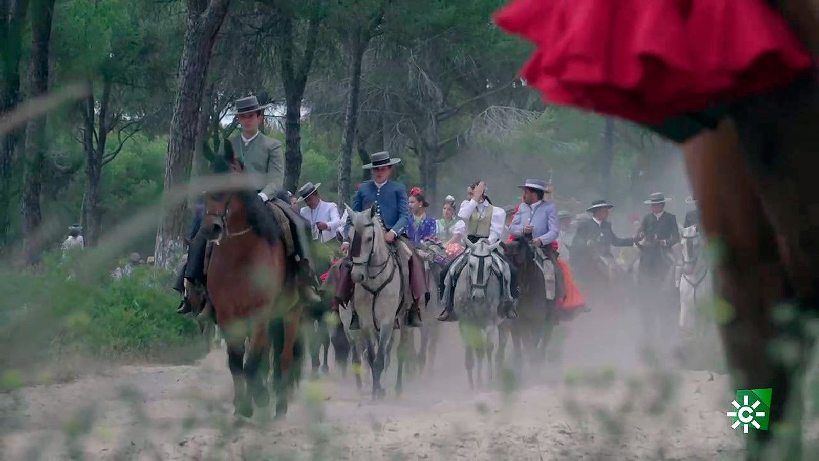 El caballo como gran protagonista en el camino de la Hermandad Matriz de Almonte al Rocío