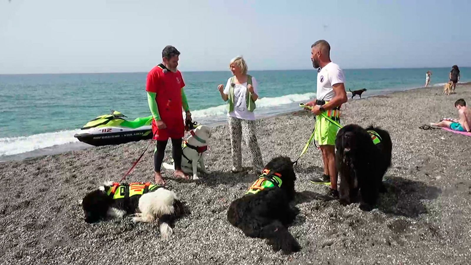 "Patas arriba", perros de salvamento en la playa
