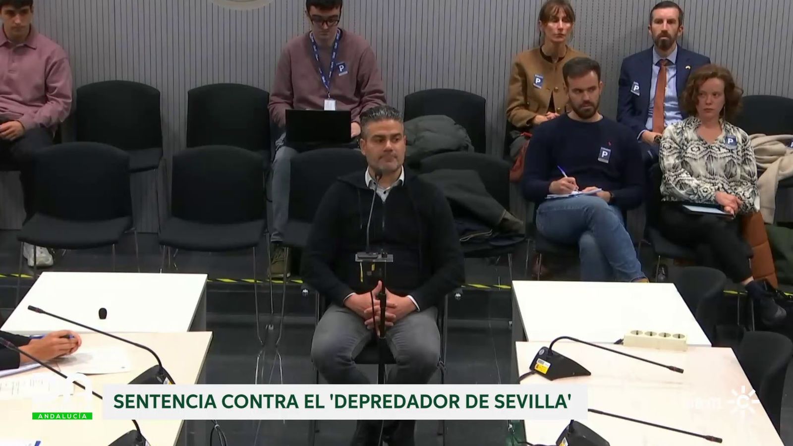 Sentencia del Supremo contra el depredador de Sevilla