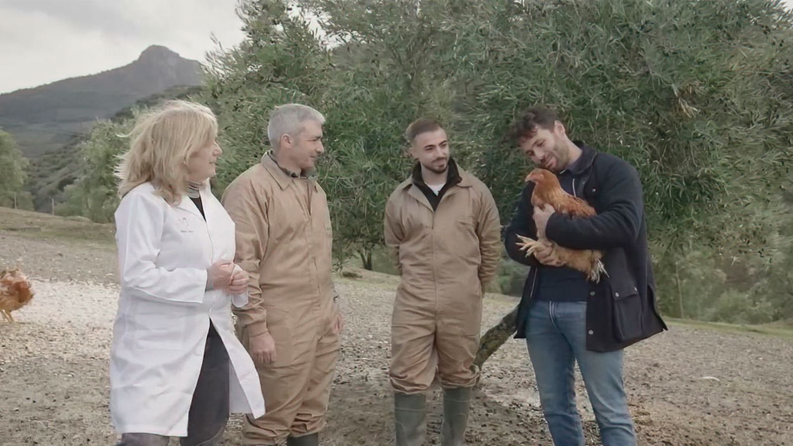 Vemos cómo se trabaja en una granja de pulardas en El Gastor