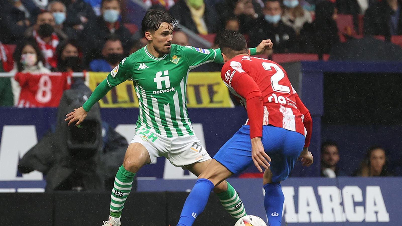 tapa betis