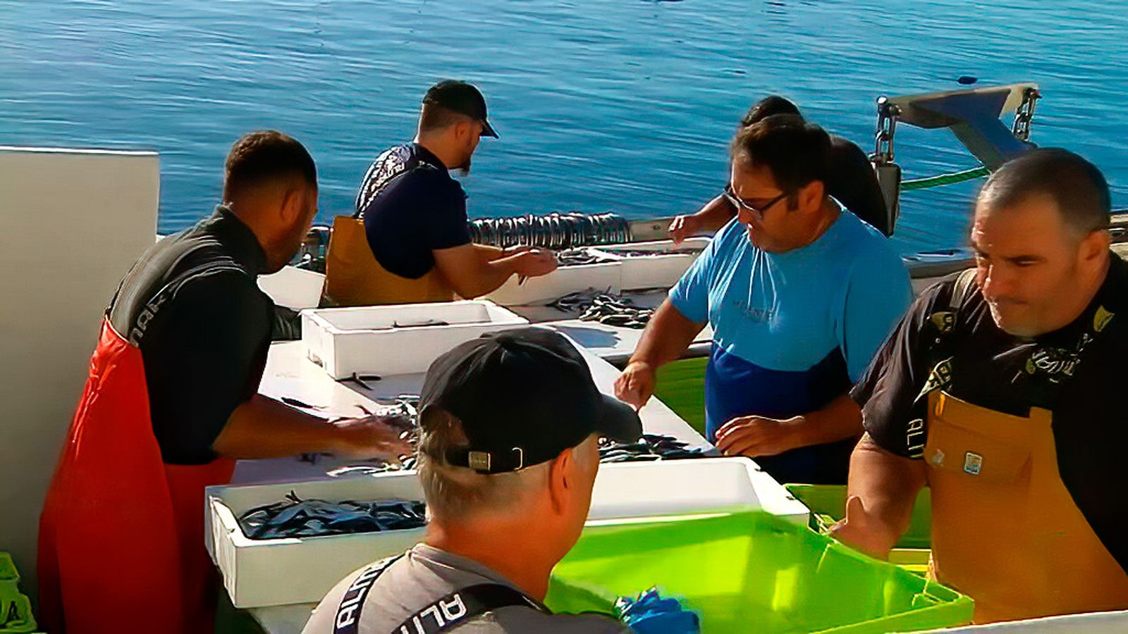 La jornada en uno de los puertos más productivos de pesca, La Caleta de Vélez en Málaga