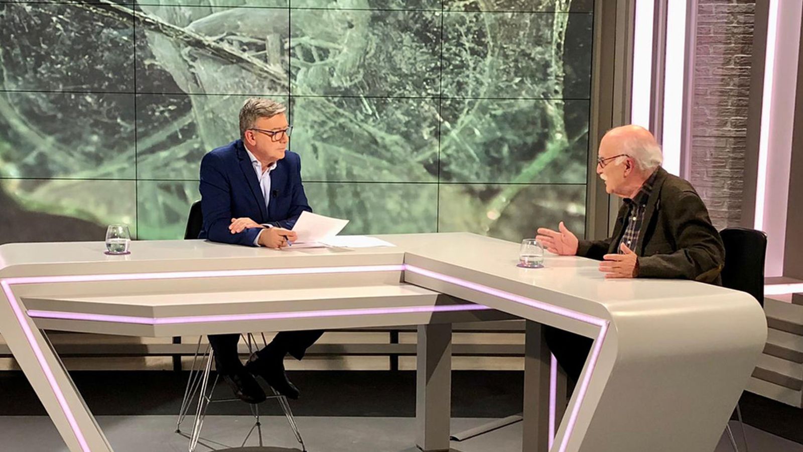 Comunicación La Memoria