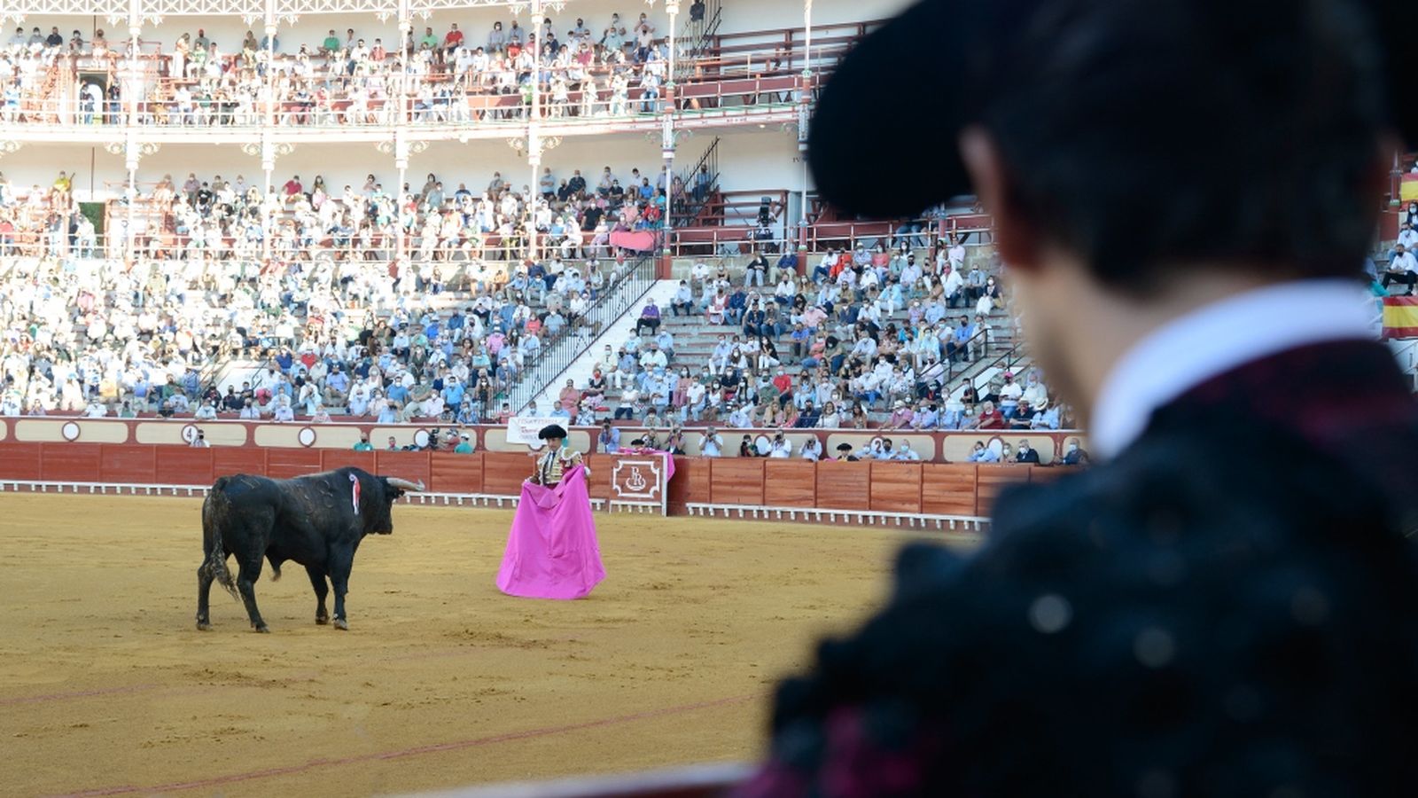 Toros genérico