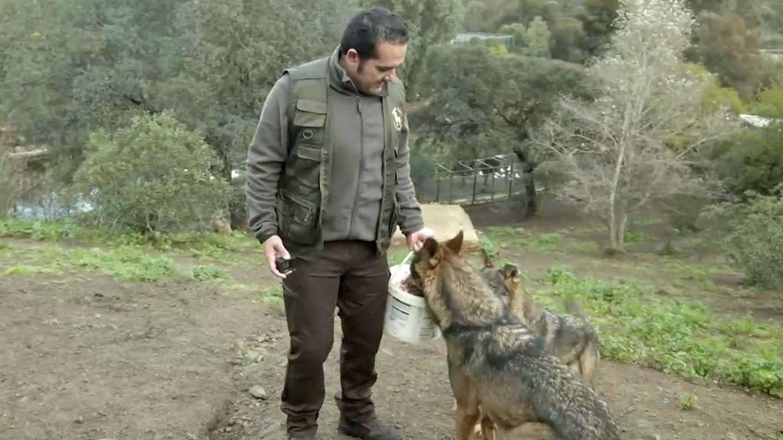 Entre compadres 1024x5756 lobos