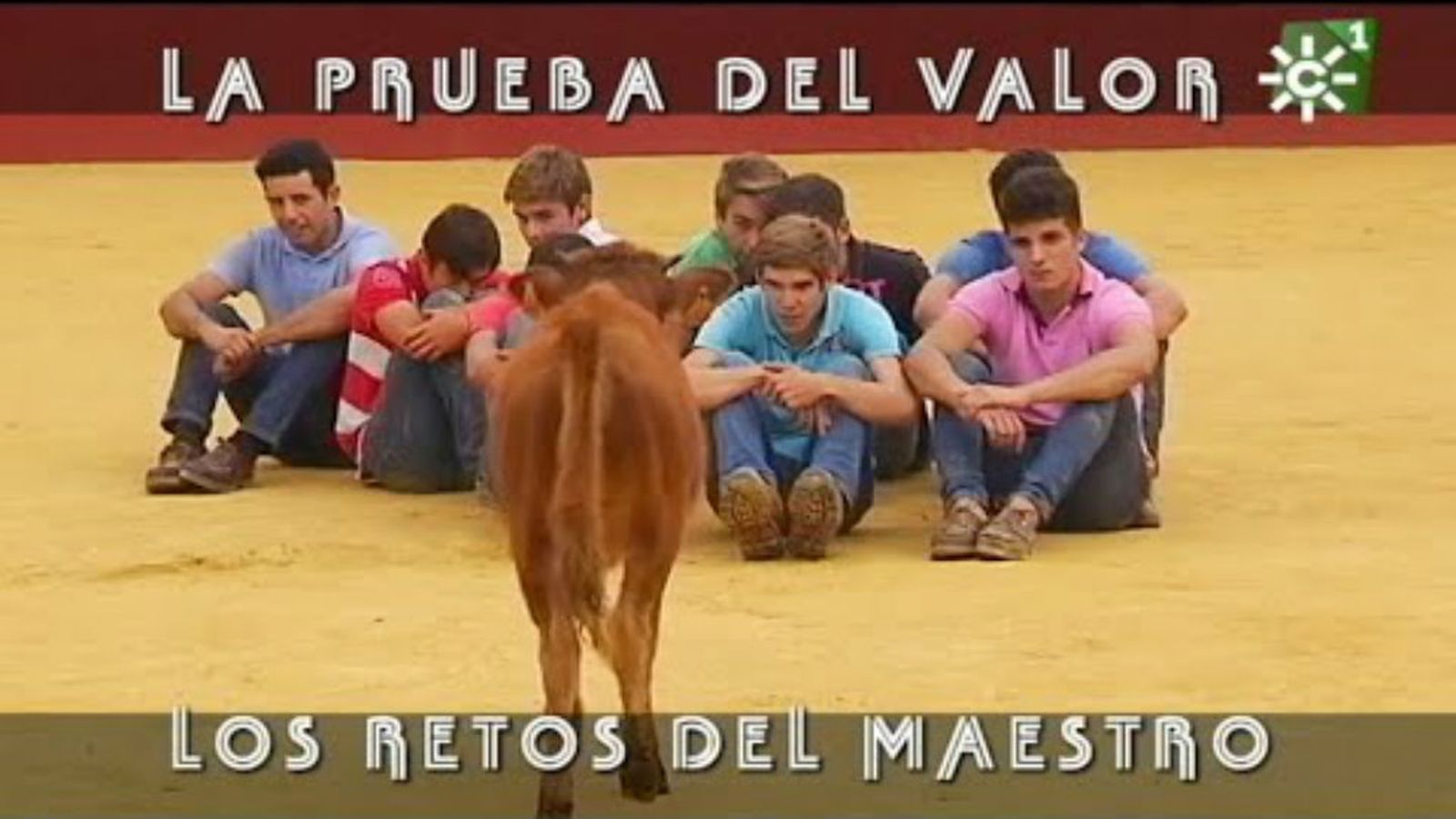 toros para todos
