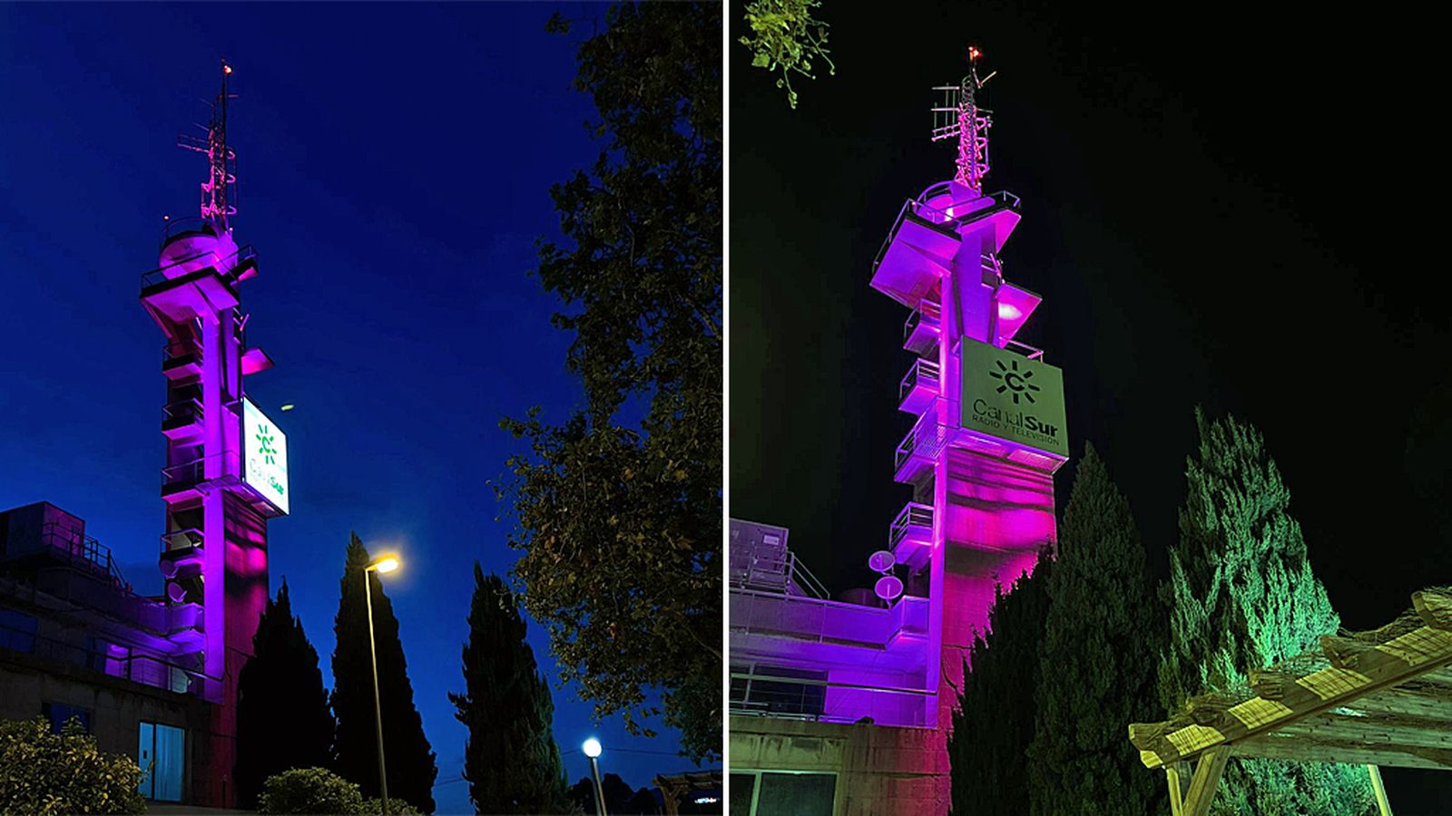 COMUNICACIÓN COMPOSICIÓN ROSA MALAGA OK