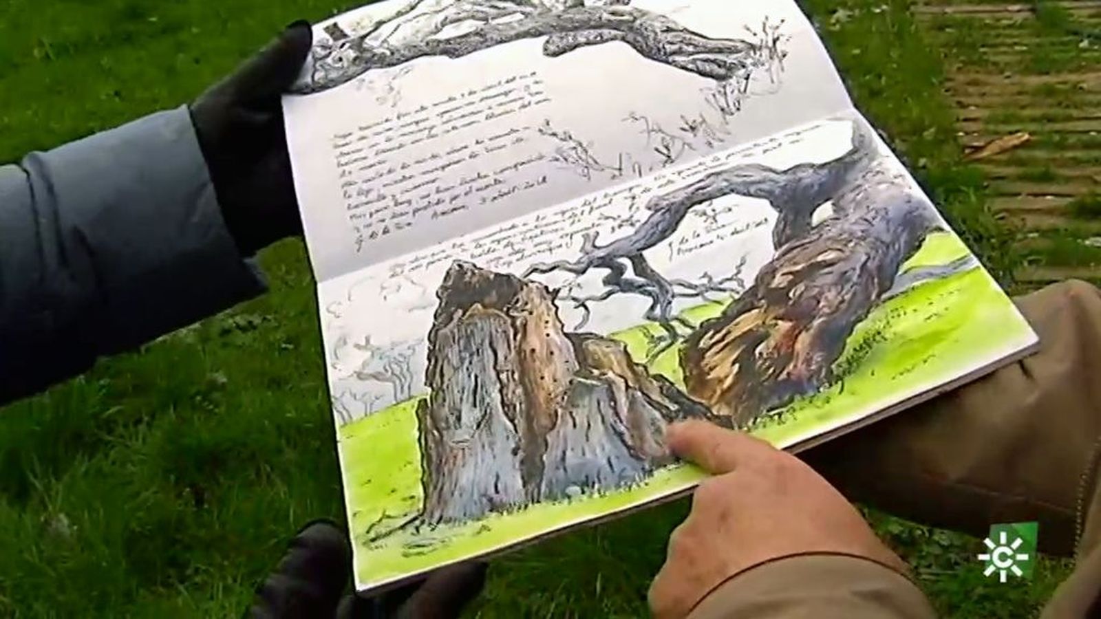 Espacio Protegido- Noticia- Cuaderno Clases de dibujo en plena Sierra de Aracena