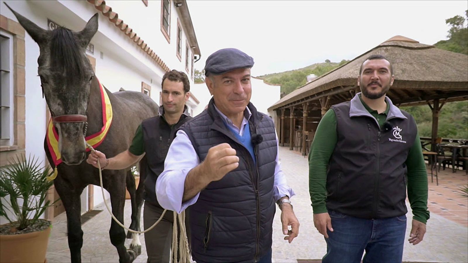 todo caballo