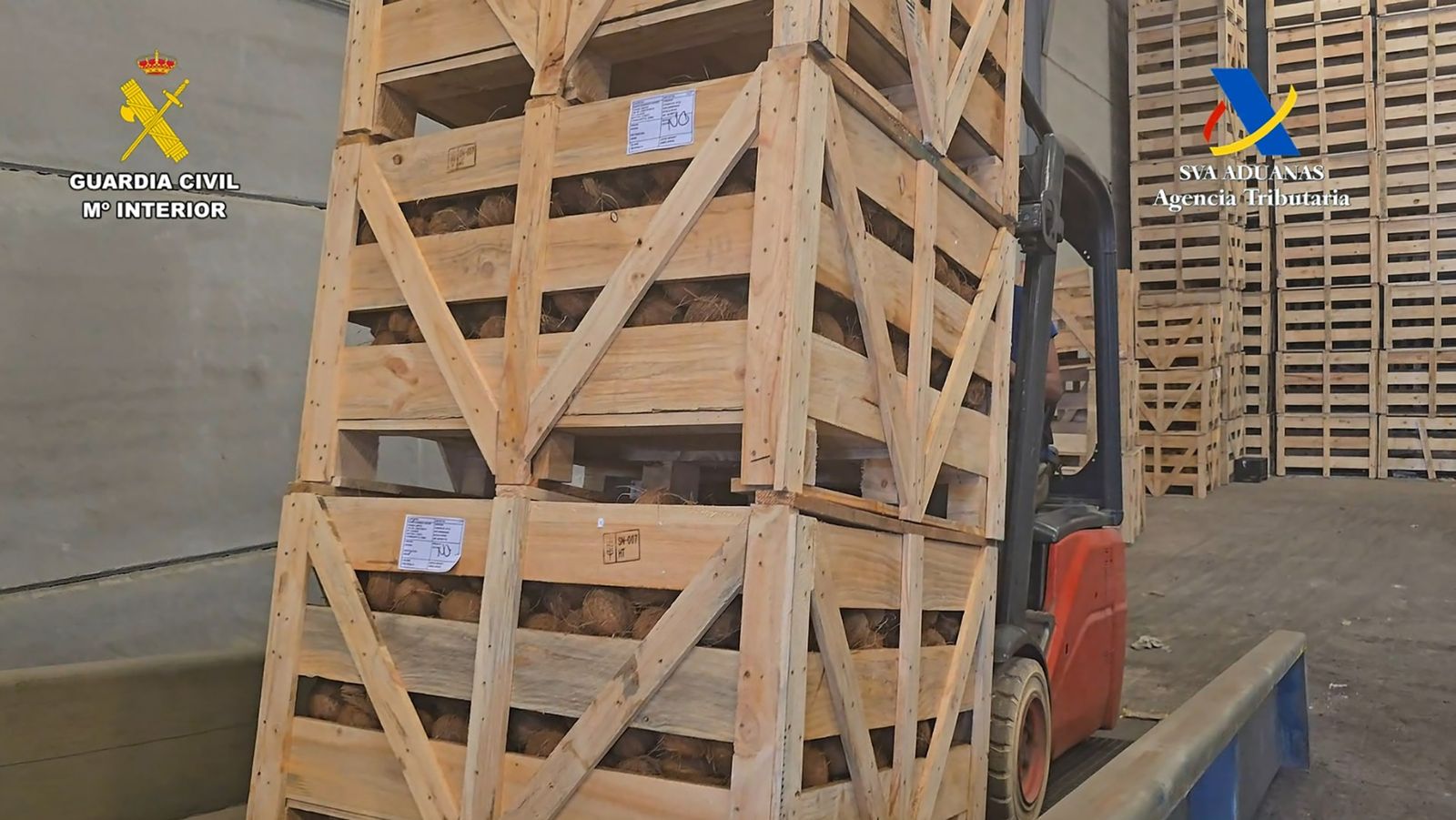 Interceptan más de 1.200 kilos de cocaína ocultos en un cargamento de cocos en Sevilla.